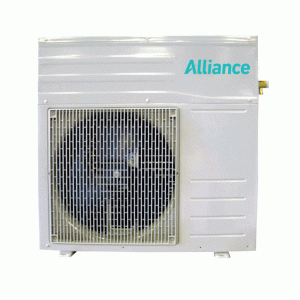 Alliance Domestic Hot Water Pump